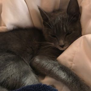 Meet your Posher, Becky